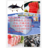 -60℃金槍魚(yú)冷庫(kù)，低溫速凍庫(kù)，深圳低溫冷庫(kù)